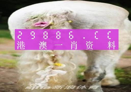 快评 第764页