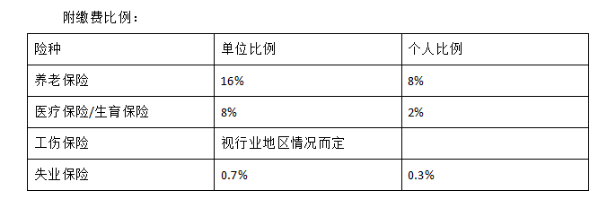 社保减免最新政策及其影响分析