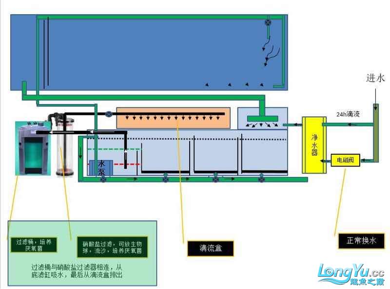 最新鱼缸设计图，打造完美的水族生态系统