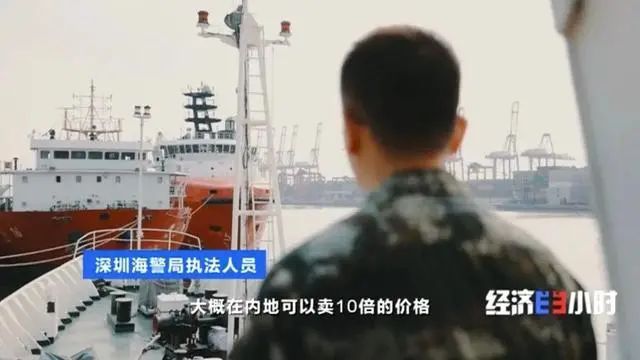 海关最新案件揭示，跨国走私与非法贸易的隐秘世界