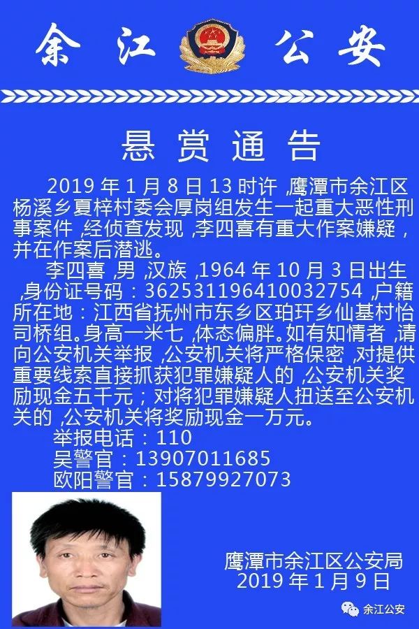 鹰潭最新通报，城市新动态与发展成果