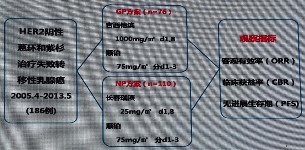 最新并列情况，探索时代变迁的新视角