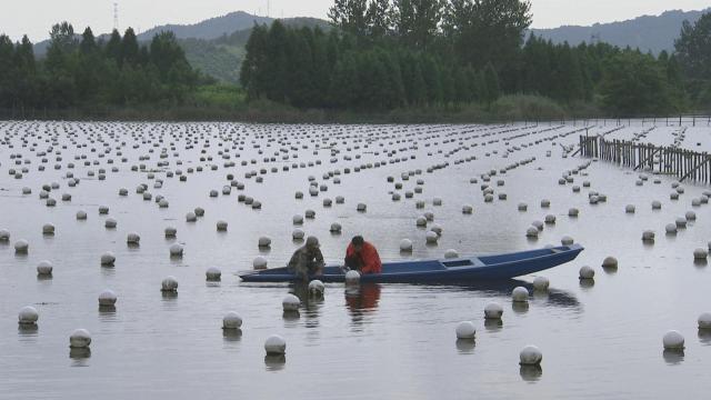 最新筏钓场，探索水域新秘境的极致体验