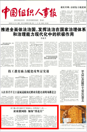 浙江最新通告，引领新时代的步伐与决策