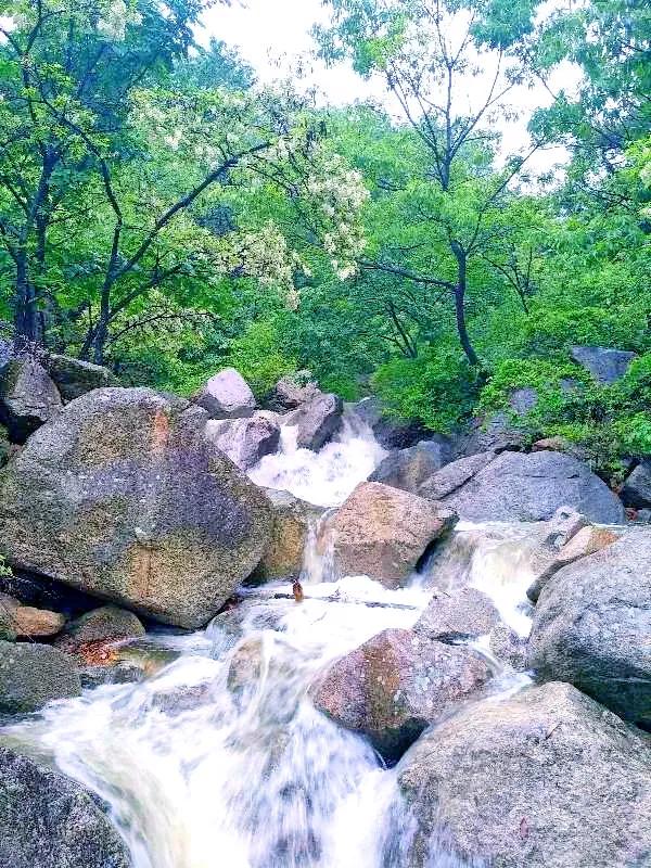 山东最新大雨，影响与挑战